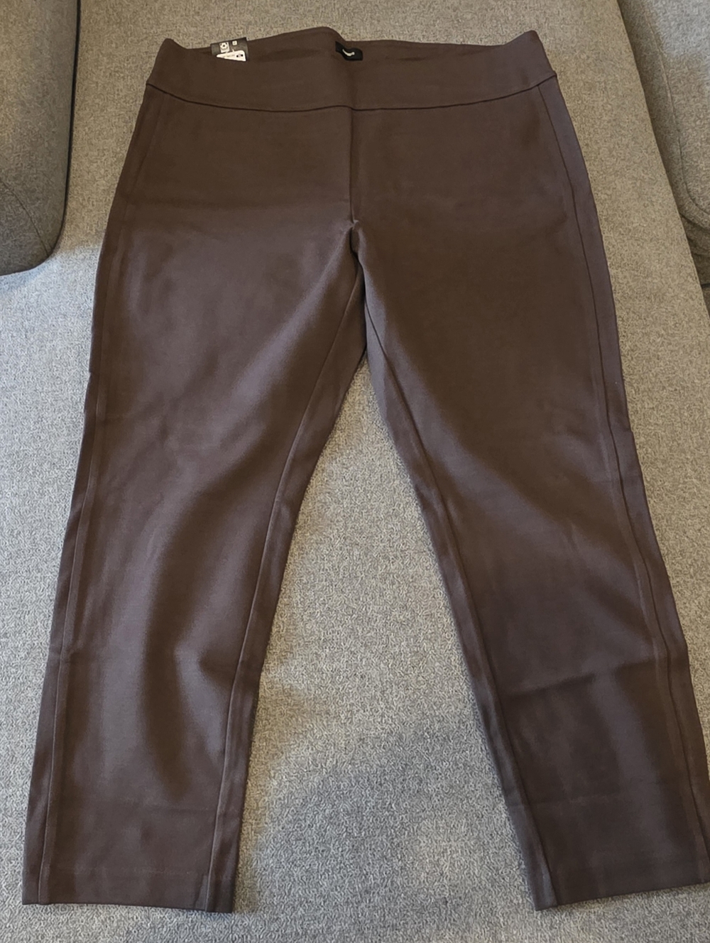 Express Brown Pull-On Ponte Pants